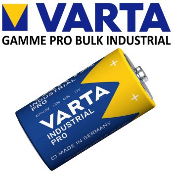 10 Piles LR20 D MN1300 E95 R20 AM1 Varta Industrial Alcaline 1,5V