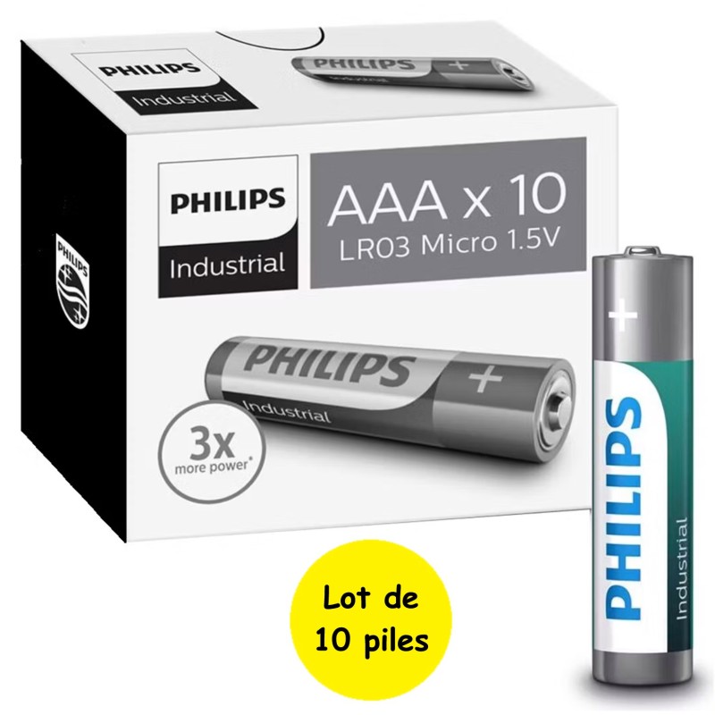 10 Piles LR6 AA MN1500 E91 LR06 AM3 Philips Industrial Alcaline 1,5V