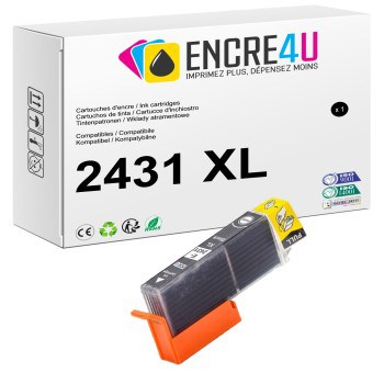 Cartouche d'encre compatible Epson 24 24XL T24 T24XL 2431 XL Noir
